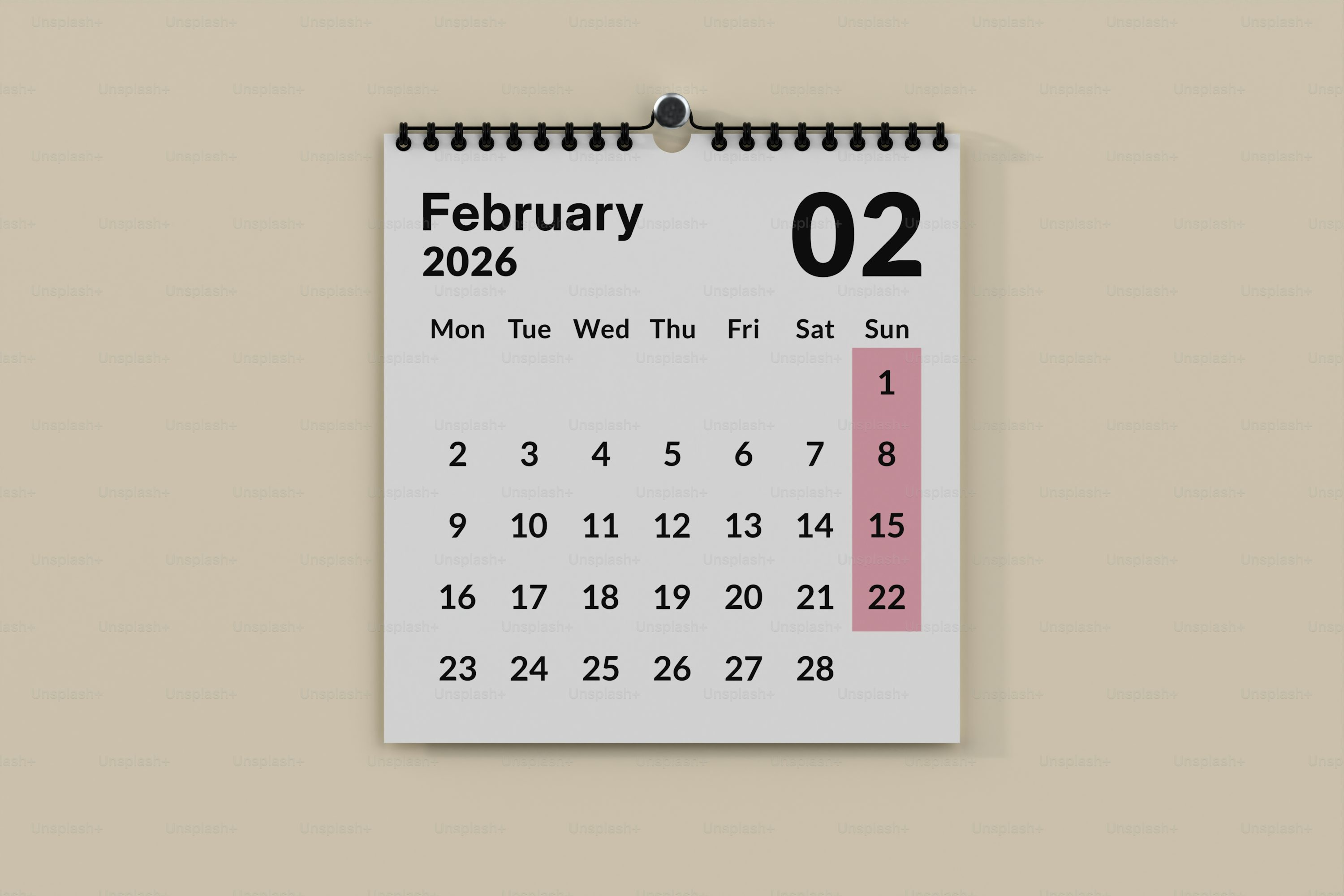 Schedule February 2026